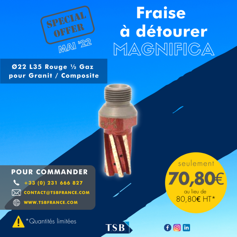 Les offres du mois 1 fraise à détourer